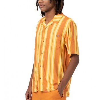 DICKIES LYNNWOOD SHIRT... 2