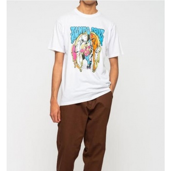 SANTA CRUZ GRABKE MELTING... 2