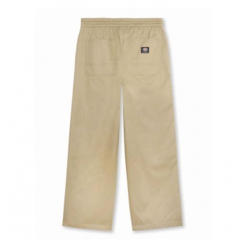 DICKIES MOUNT VISTA PANT 2