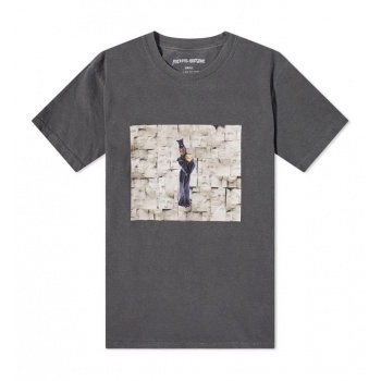 FUCKING AWESOME MARY TEE GRIS