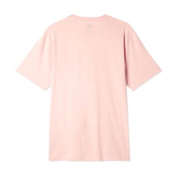 DICKIES MAPLETON TEE 2