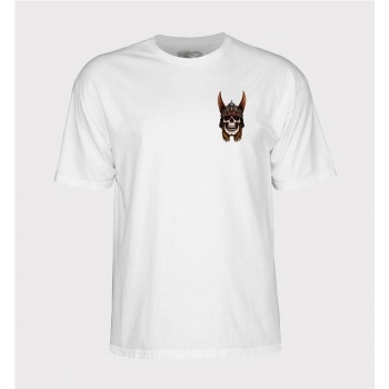 POWELL PERALTA ANDY... 2