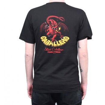 POWELL PERALTA CAB DRAGON... 2