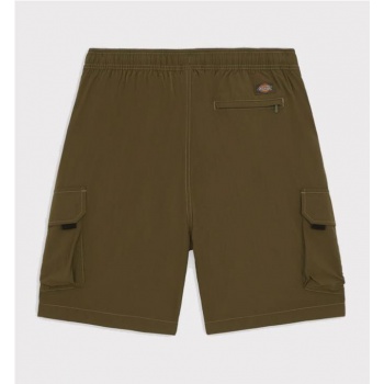 DICKIES JACKSON CARGO SHORT... 2
