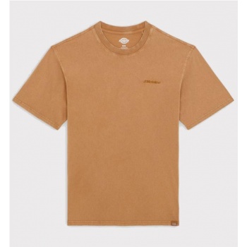 DICKIES PLENTYWOOD TEE MARRON