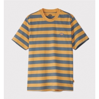 DICKIES RIVERGROVE TEE NARANJA