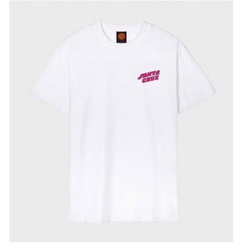 SANTA CRUZ GRABKE ALL... 2