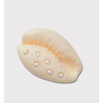 CROCS JIBBITZ PEARL PUKA...