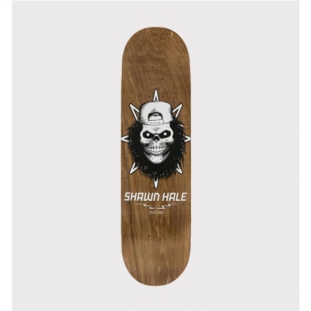 BIRDHOUSE HALE SKULL MARRON