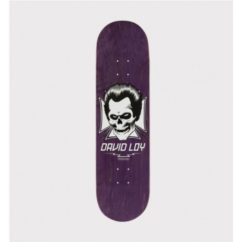 BIRDHOUSE LOY SKULL VIOLETA