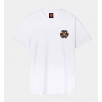 SANTA CRUZ DRESSEN ROSES... 2