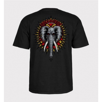 POWELL PERALTA MIKE VALLELY...