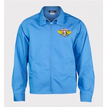 POWELL PERALTA WINGED... 2