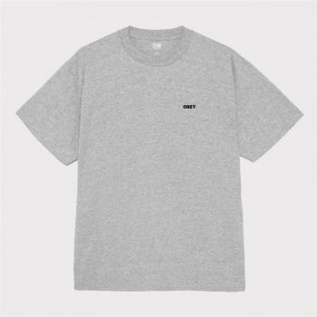 OBEY EYES OPEN TEE GRIS 2