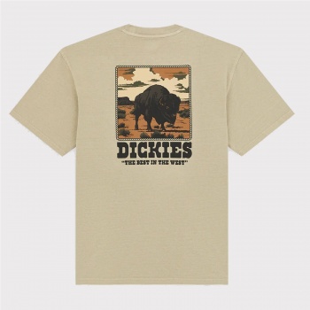 DICKIES DARRTOWN TEE BEIGE