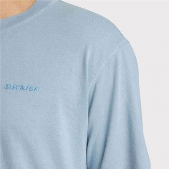 DICKIES PLENTYWOOD TEE AZUL... 2