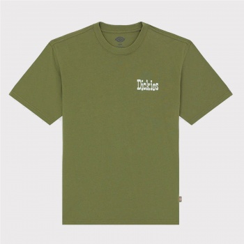 DICKIES VERNAL TEE VERDE 2