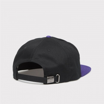 CARHARTT WIP WILD LIFE CAP... 2