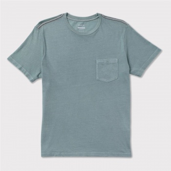 RVCA PTC 2 PIGMENT TEE GRIS