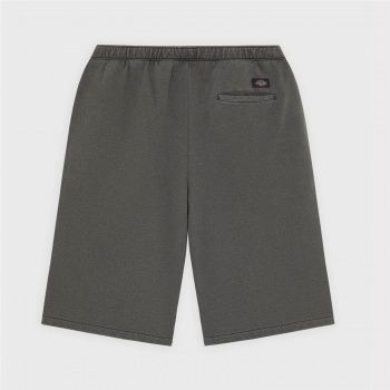 DICKIES STREETBRO 13 INCH... 2