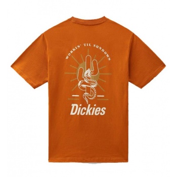 DICKES BETTLES TEE NEGRO 2