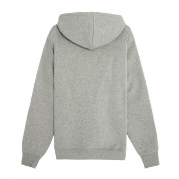 DICKIES ICON LOGO HOODIE GRIS 2