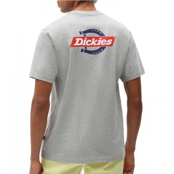 DICKIES SS RUSTON TEE GRIS 2